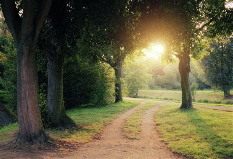 path  light  philipp klinger