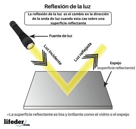 Polarizaci N De La Luz Tipos Ejemplos Aplicaciones