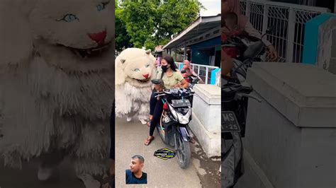 Cewek Cantik Digigit Macan Barongan Macan Feedshorts Youtube