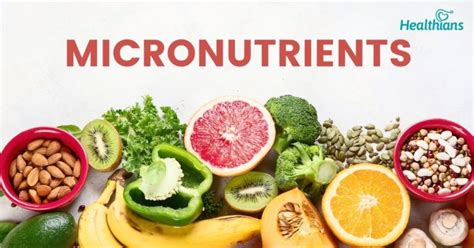 Role Of Micronutrients Healthians Blog