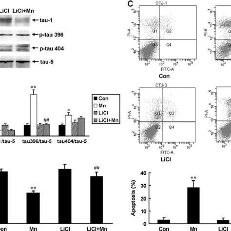 The Inhibition Of Gsk B Also Attenuated The Hyperphosphorylation Of