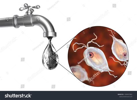 Safety Drinking Water Concept 3d Illustration Stock Illustration 1390957862 Shutterstock