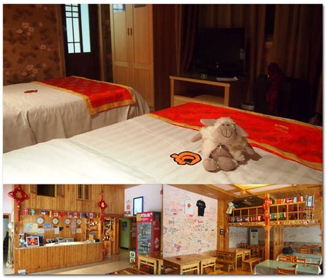 Mt Emei Teddy Bear Hotel Emei Leshan Giant Buddha Official Travel