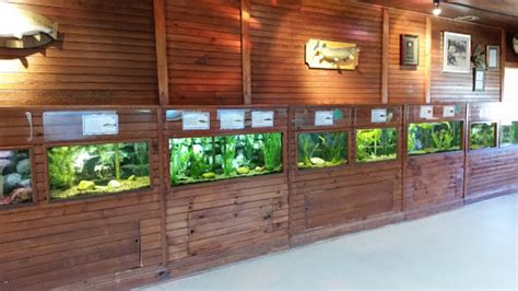 Aquarium Cold Spring Harbor Fish Hatchery And Aquarium Reviews And