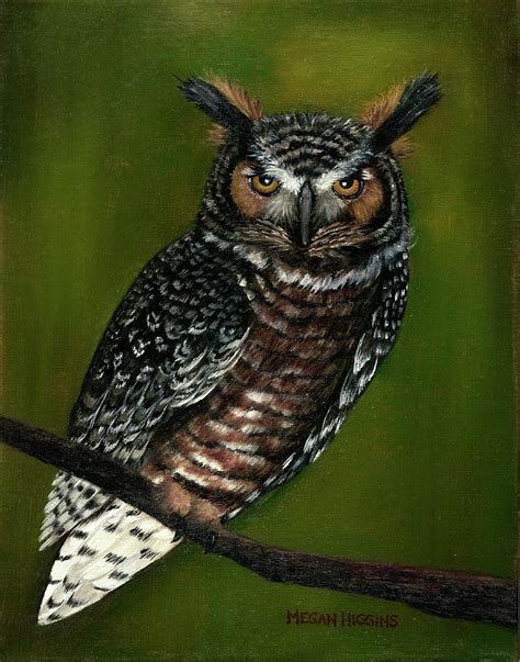 Great Horned Owl Painting By Megan Croteau Fine Art America