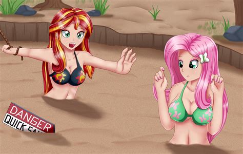 Fluttershy And Sunset Shimmer 3 By Fluttercool On Deviantart