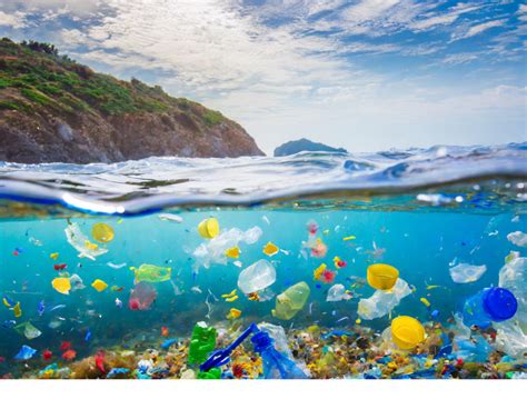 Plastic Bottle Ocean Pollution 8 Ways To Help Save Oceans