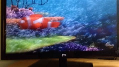 Finding Nemo Clip 3 Youtube