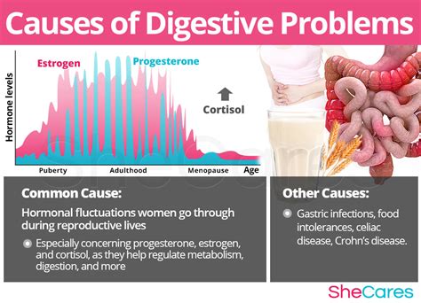 Digestive Problems | SheCares