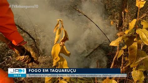 Chacareiro Chora Ao Ver Inc Ndio Destruir At Mudas Para Recuperar