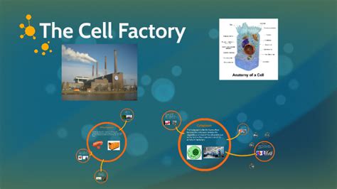 The Cell Factory By Cody Doyle On Prezi