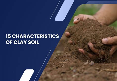 15 Characteristics of Clay Soil - ShreeRam Kaolin