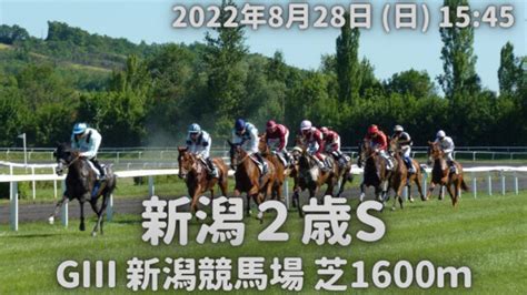 スワンs GⅡ 阪神競馬場 芝1400m｜カミフクロウのへや