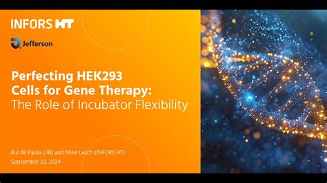 Optimizing Hek293 Cell Cultures For Gene Therapy Applications The Role