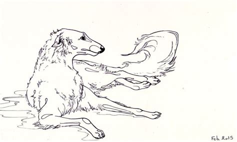 Borzoi Daily Dog Sketch Drawing Artwork Sketches