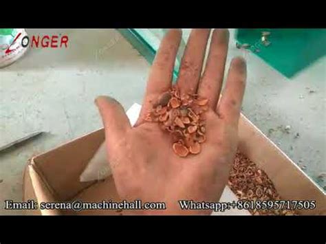 Industrial Pine Nut Dehulling Shelling Machine Pinoli Nut Processing