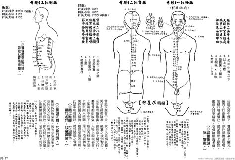 最全十四经脉高清动图，所有穴位都有！再也不怕找不到穴位了！ 哔哩哔哩