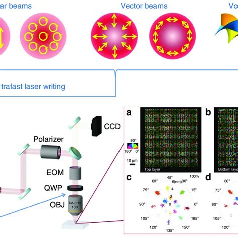 Scheme Of Ultrafast Laser Writing With Polarization And Vortex