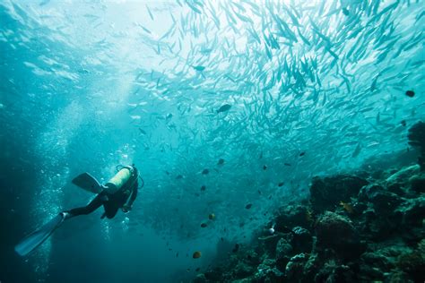 Diving in Derawan, Indonesia