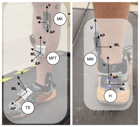 IJERPH Free Full Text Inertial Sensor Location For Ground Reaction