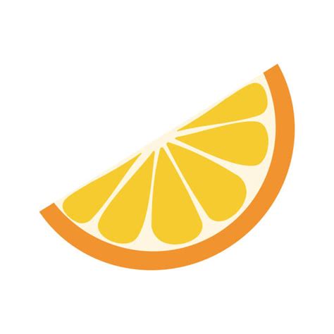 80 Zesty Citrus Stock Illustrations Royalty Free Vector Graphics