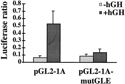 Regulation Of Prolactin Receptor Prlr Gene Expression In Insulin