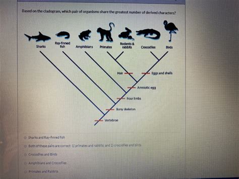 Solved Based on the cladogram, which pair of organisms share | Chegg.com