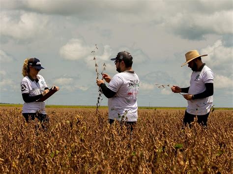 Rally Da Safra Chega A Ms Domingo E Percorre Lavouras De Soja At Dia