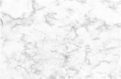 White And Gray Marble Texture With Delicate Veins Stock Photo Image