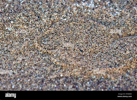 Snake tracks sand snake tracks hi-res stock photography and images - Alamy