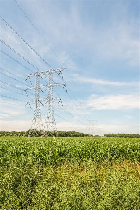 Electricity Pylons And Cables In An Agricultural Landscape With Stock