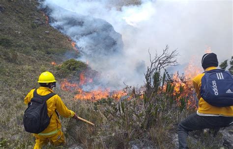 Sube A 20 Cifra De Muertos Por Incendios Forestales La Razón