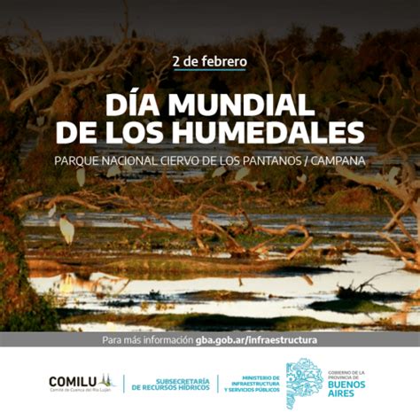 Día Mundial De Los Humedales Provincia De Buenos Aires