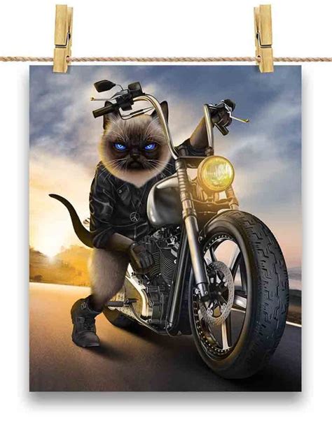 Biker Cat Riding Chopper Motorcycle Custom Poster Print - Etsy