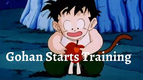 Gohan Starts Training Dragon Ball Z By Storybook Youtube