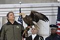 File:Bald Eagle at We Are One concert.jpg - Wikimedia Commons