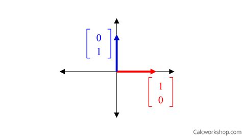 Basis Of Vector Spaces A Linear Algebra Guide