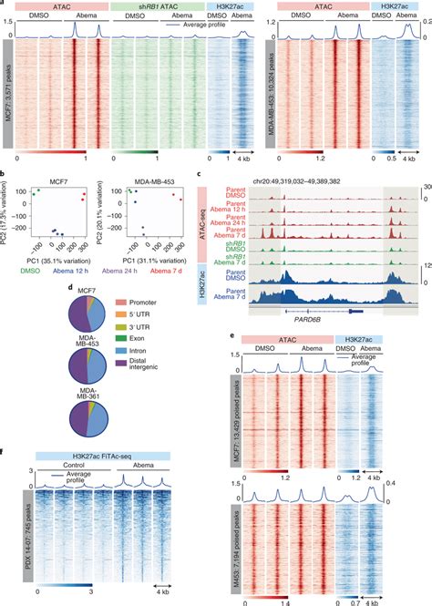 Cdk Inhibition Induces Chromatin Remodeling In Breast Cancer A