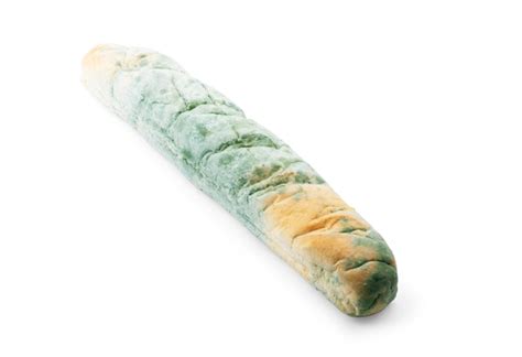 premium photo moldy bread isolated  white background