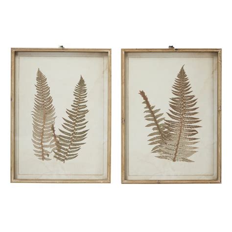 Gracie Oaks Large Vintage Fern Illustrations Framed Botanical Prints