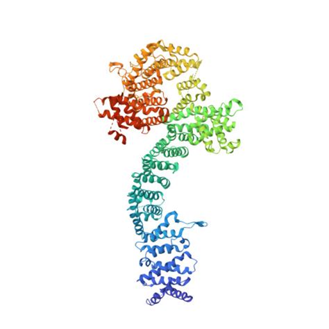 Rcsb Pdb 5f0n Cohesin Subunit Pds5