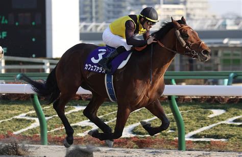 カフェファラオ｜名馬メモリアル｜競馬情報ならjra Van