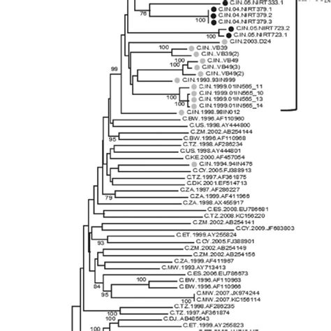 Phylogenetic Analysis Of Full Length Hiv 1 Sequences Phylogenetic