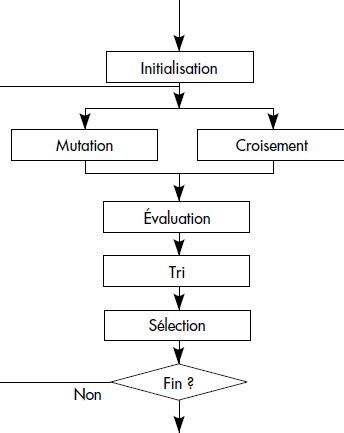 R Solution Des Probl Mes D Optimisation Lin Aire Par