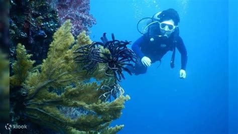 USS Liberty Shipwreck Scuba Dive By Bali Sun Tour Indonesia Klook