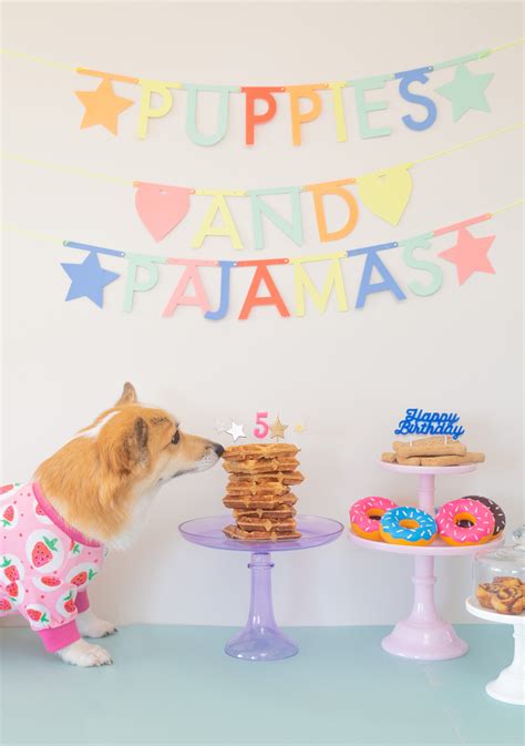 What Is A Dog Party