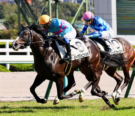 【岩田康誠の熱血！！競馬道】瞬発力あるビーアストニッシド楽しみ Umatoku 馬トク