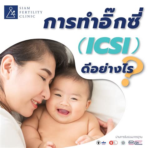 Thailand Ivf Hospital And Clinic Data Center Blog Siam Fertility