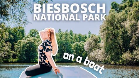 Biesbosch National Park Boat Tour Location Prices Beautiful Views