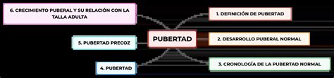 Pubertad Mapa Conceptual Y Resúmen Algor Cards